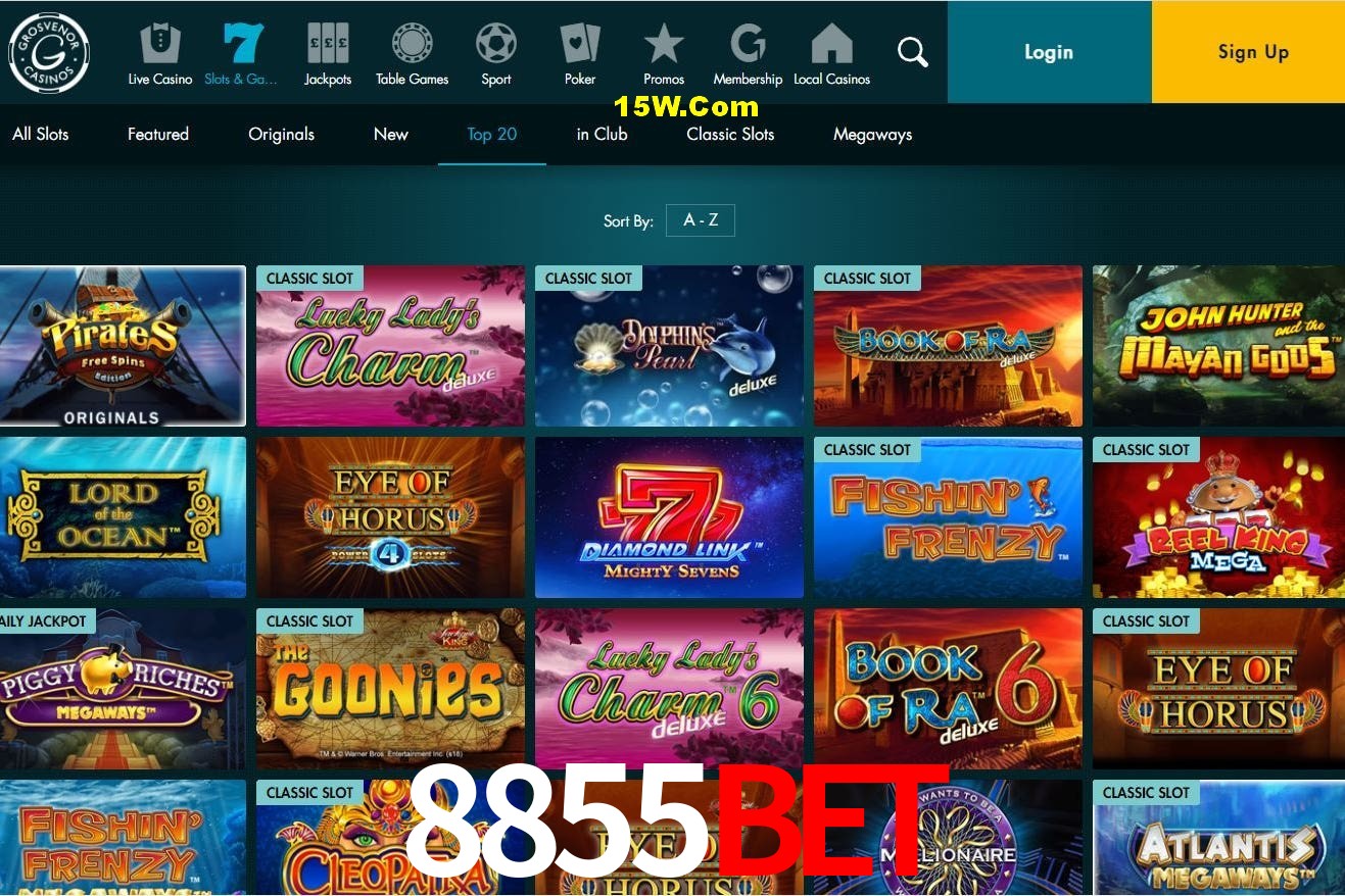 Experiência VIP 8855Bet